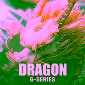 Featured Game